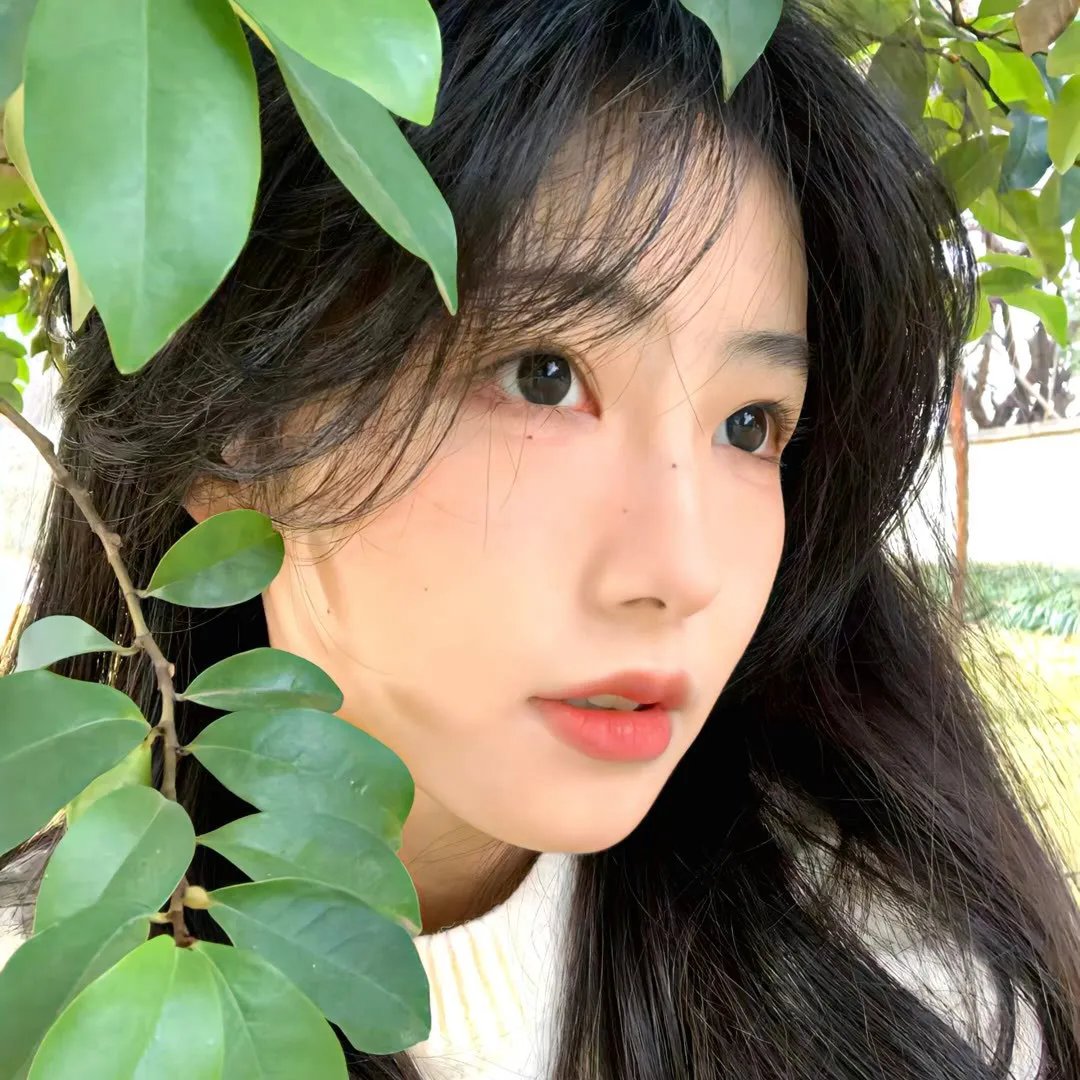 玩转全家福